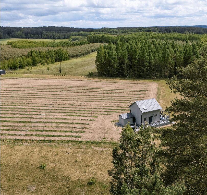 otoczenie winnicy 02